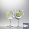 Cj. 6 Taças para Gin Tônica 710ml Schott Zwiesel Bar Special de Cristal