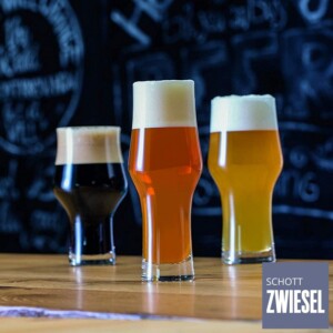 Cj. 6 Copos para Cerveja IPA 365ml Schott Zwiesel Beer Basic Craft de Cristal